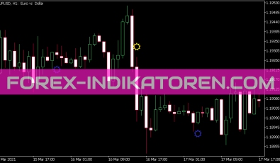 MACD Candle Trend Indikator für MT5