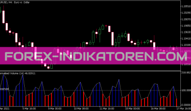Normalized Volume Indikator für MT5