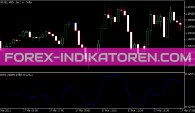 Positive Volume Index Indikator für MT5