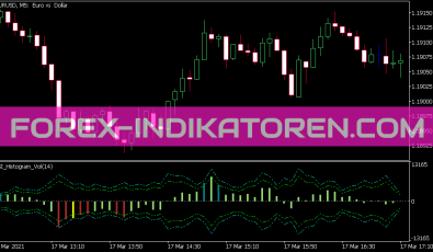 RSI Histogram Vol Indikator für MT5