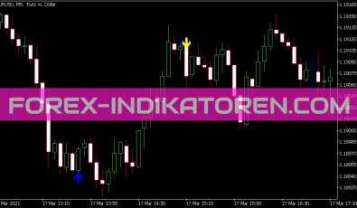 RSI MA Level Signal Indikator für MT5