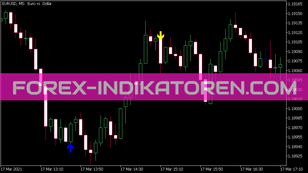 RSI MA Level Signal Indikator
