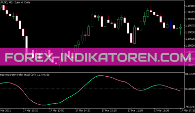 Rsx Range Expansion Index Indikator für MT5