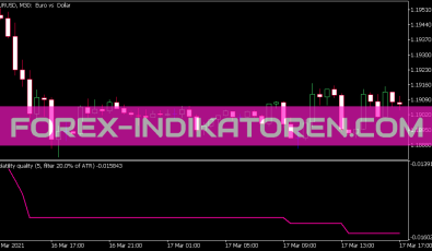 Volatility Quality Indikator für MT5