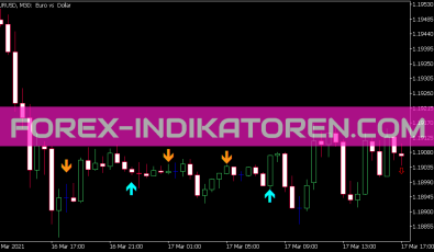 WLX Bwa C Sig Indikator für MT5