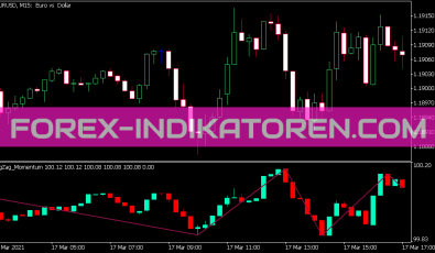 Zig Zag Momentum Candle Indikator für MT5