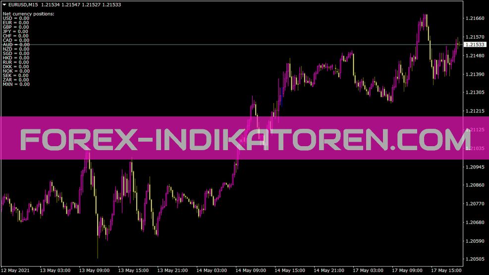 Indicador de posições monetárias para MT4