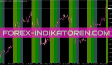 I Paramonworktime Indikator für MT4
