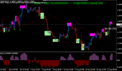 Elastic Trader PRO Indikator für MT4