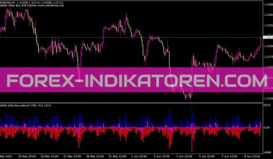 Waddah Attar Buy Sell Vol Indikator für MT4