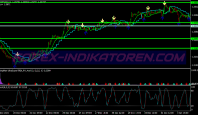 Accurate Gann Swing System für MT4