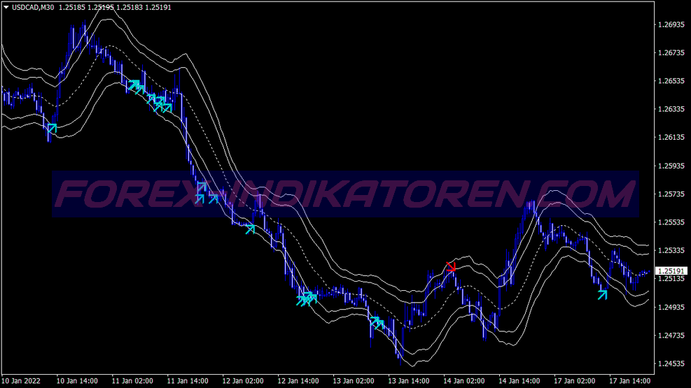 Bear Naked Pattern Swing System für MT4