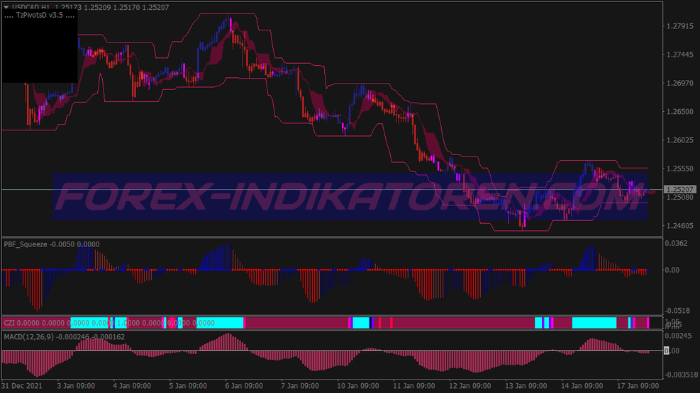 Best Intrepid Scalping Trading System für MT4