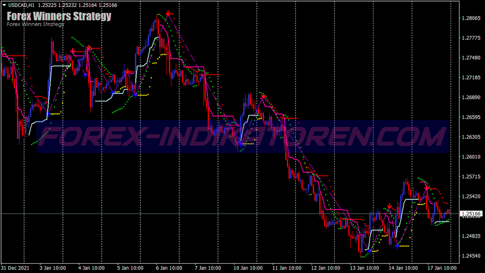 Best Winners Scalping System für MT4