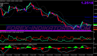 Bidara Dmi System für MT4