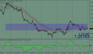 Black Dog Cross System für MT4