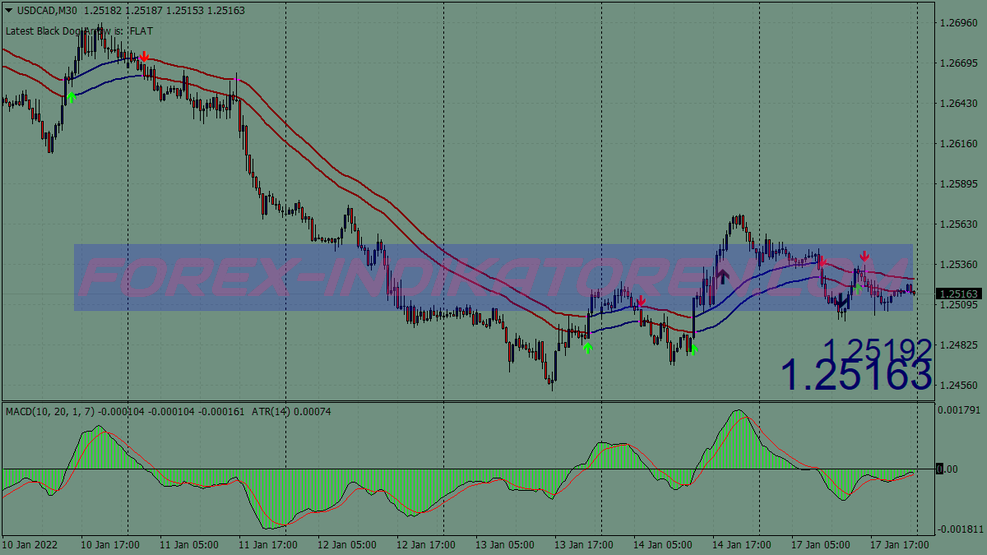 Black Dog Cross Trading System für MT4