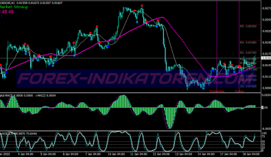 Bravo Wave System für MT4