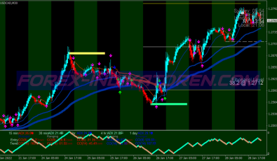Collection Xard777 Trading System 5 für MT4