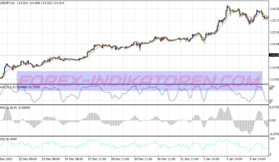 Cowabunga Trend Following System für MT4