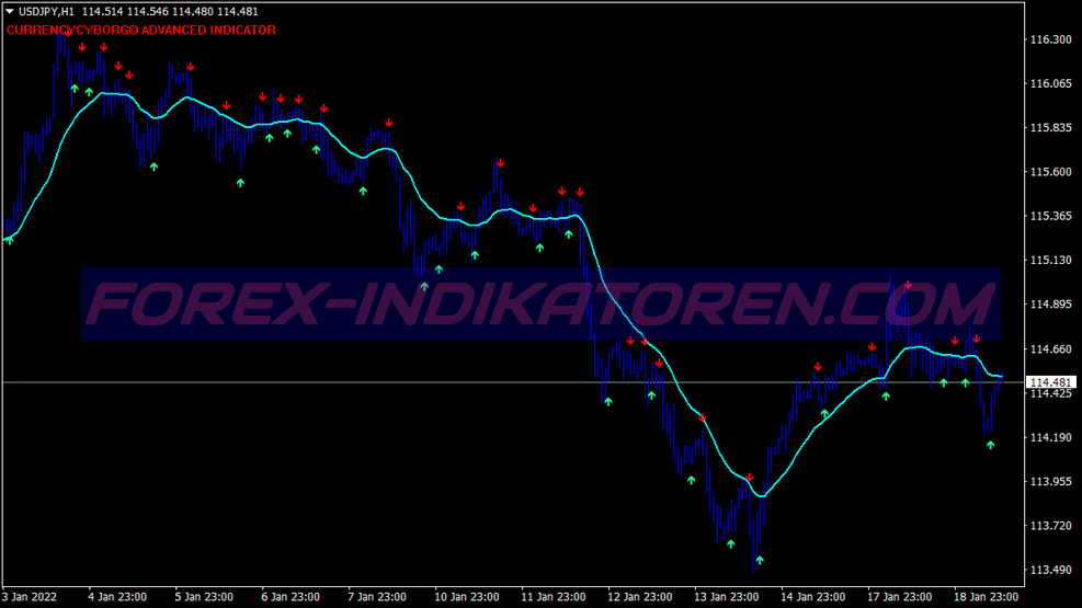 Cyborg Alert Scalping Trading System für MT4