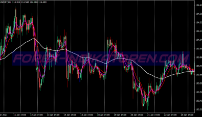 Daily Fibo Pivot Points System für MT4