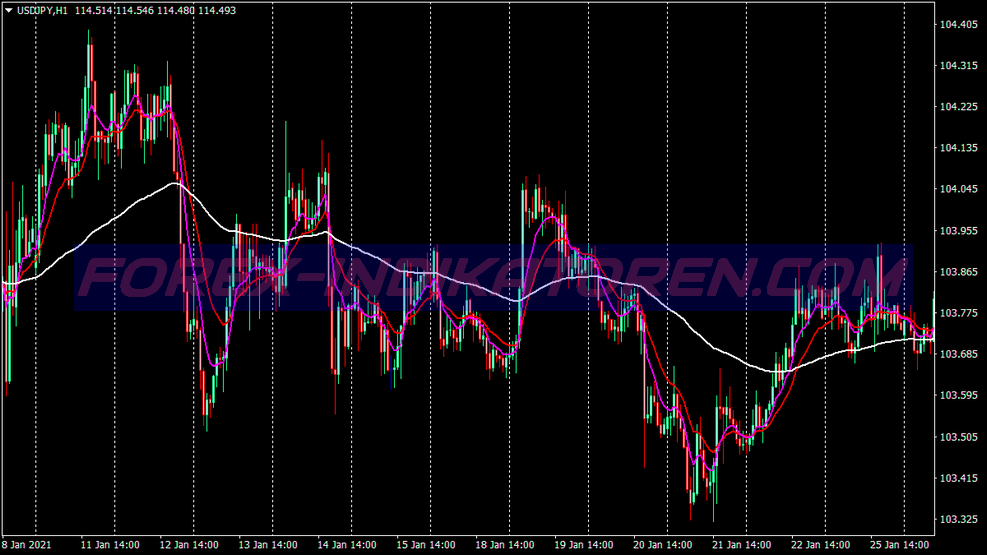 Daily Fibo Pivot Points System für MT4