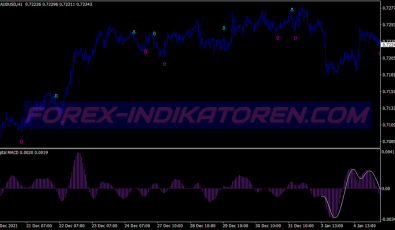 Digital Macd System für MT4
