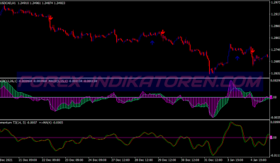 Double Macd Momentum System für MT4