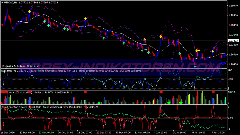 Double Power Scalping Trading System für MT4