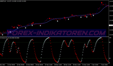 Dss Arrow Filter System für MT4