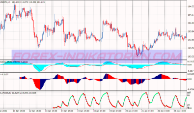 Dss Bressert System für MT4