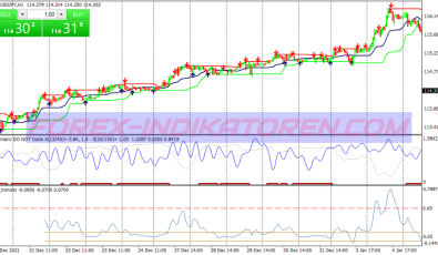 Dynamic Trend Support Resistance System für MT4