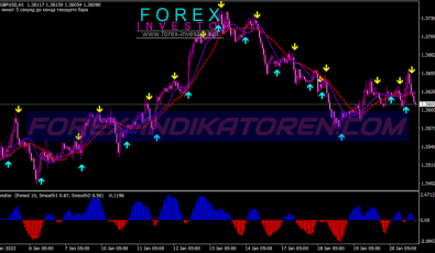 Exclusive Swing System für MT4
