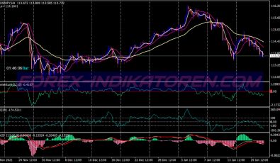 Gann Cci Macd System für MT4