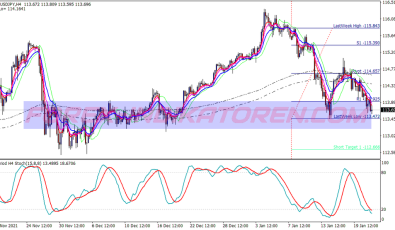 Gann Envelope Swing System für MT4