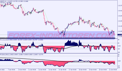 Gann Npfx System für MT4
