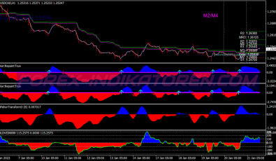 Gold Vein System für MT4