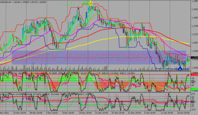 Gsp Advanced Binary Options System für MT4