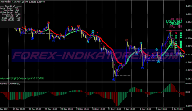 Hama Direction Scalping System für MT4