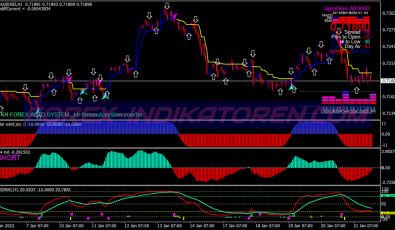 High Gain Buy Sell Swing System für MT4