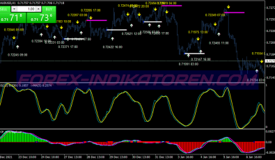 Incremental Profit System für MT4