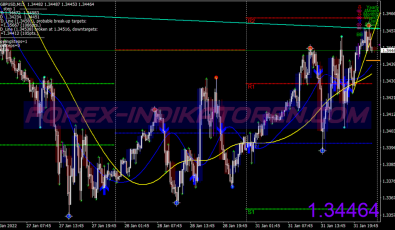 Kg Range Swing System für MT4