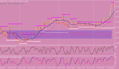 Launcher Trx Final Binary Options System für MT4
