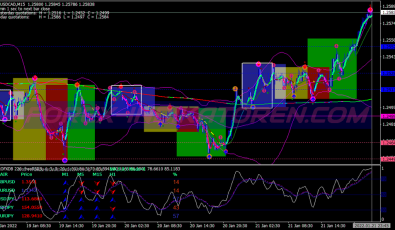 Marsi Box Swing System für MT4