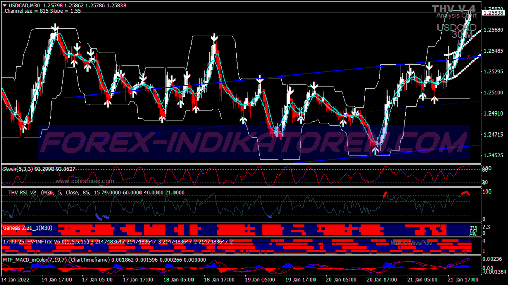 Master Genesis Matrix Binary Options Trading System für MT4