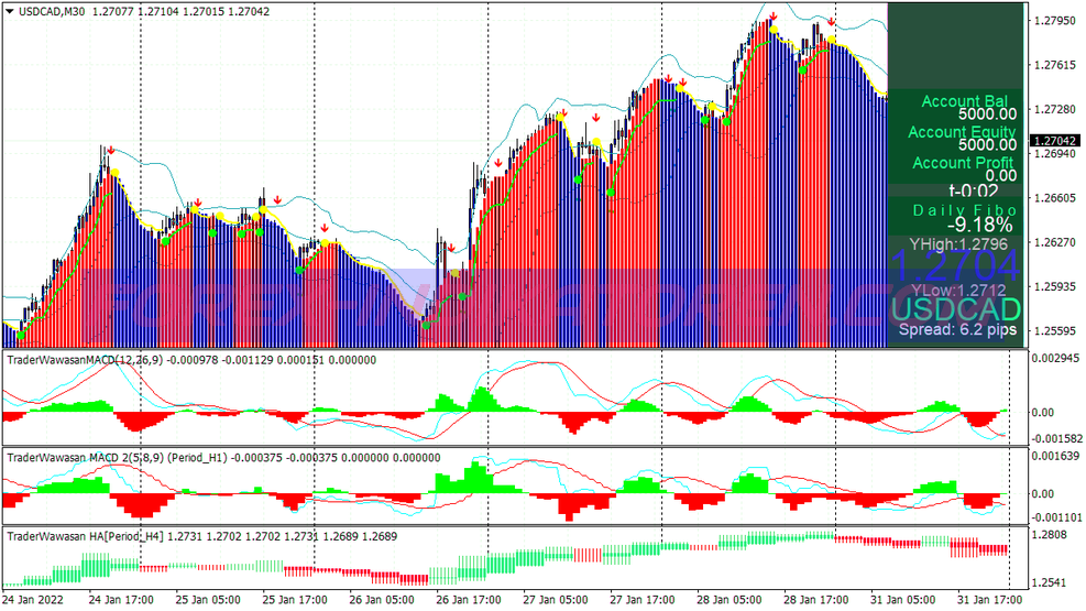 Medekarama Teknik System für MT4