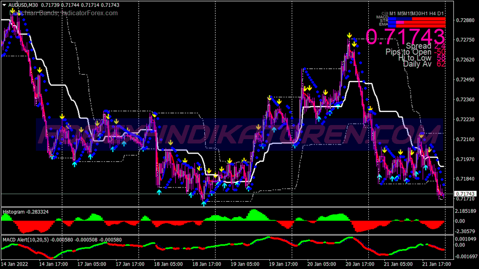 Miracle Donchian Swing Trading System für MT4