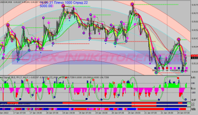 Profit Order Binary Options System für MT4