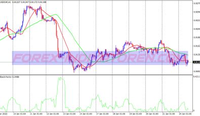 Pullback Cycle System für MT4